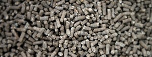 chicken manure pellets