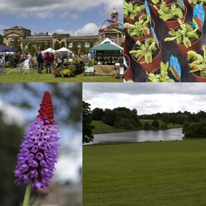 Bowood House Garden Festival