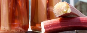 Rhubarb Pickle Jars