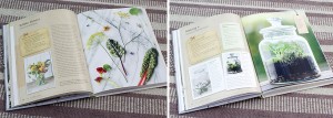 Pages from The Crafted Garden