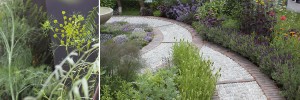 Herb Gardens at Chelsea Show 2016