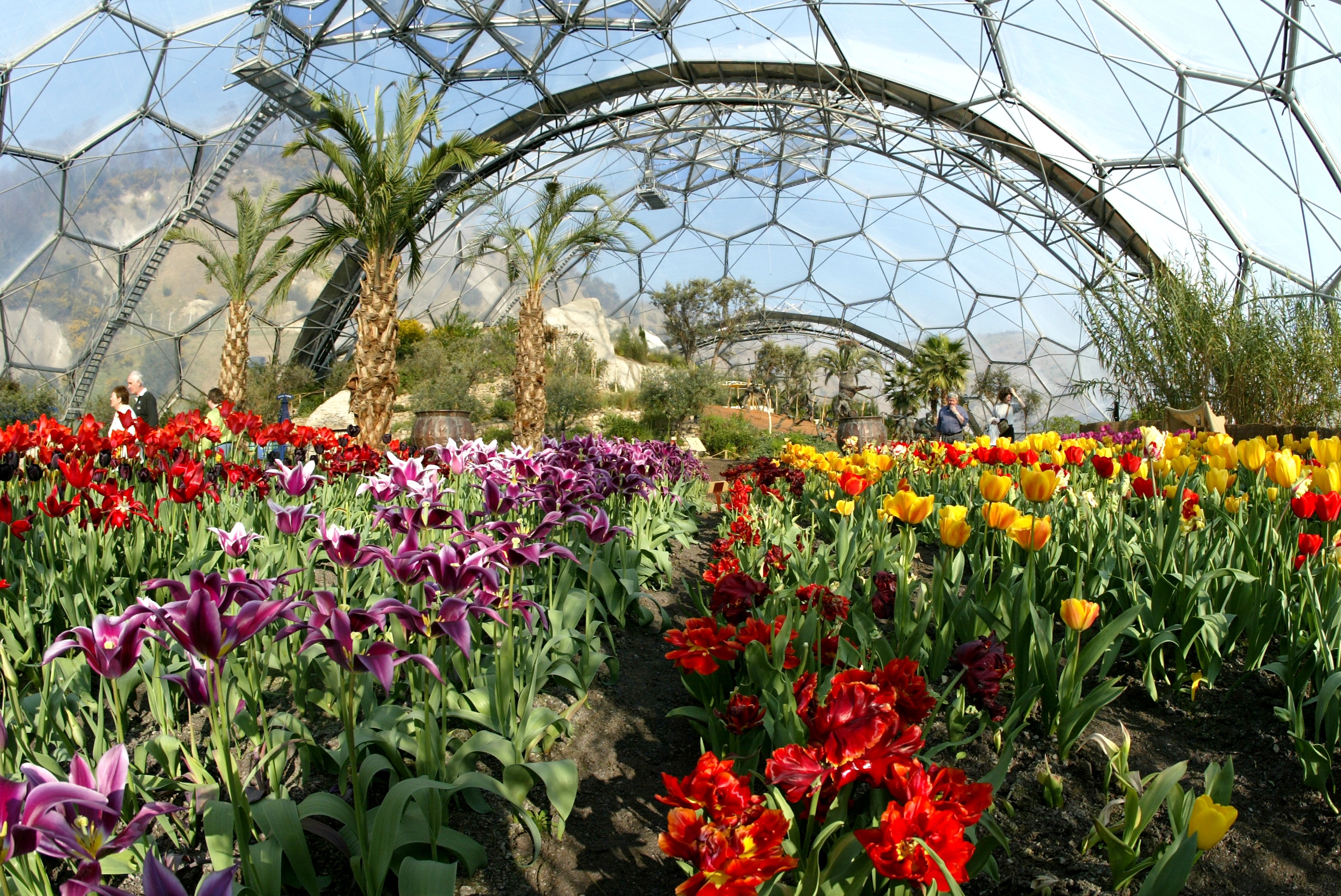 Win! Tickets for the Eden Project Two Thirsty Gardeners