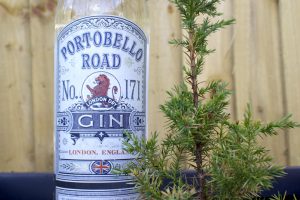 can i grow juniper for gin