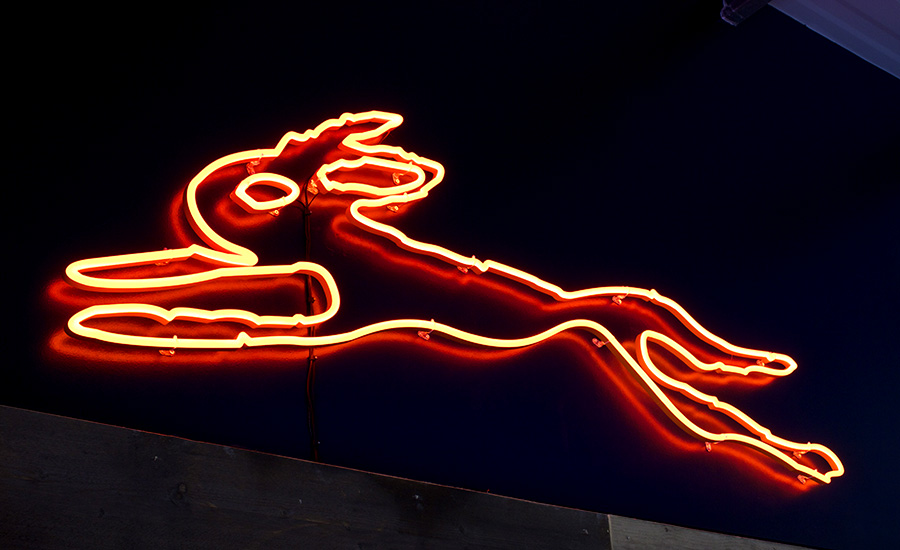 neon hare logo