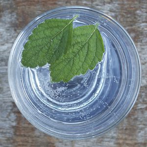 lemon balm gin and tonic