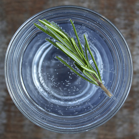 rosemary sprig gin and tonic