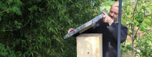 Installing a natural bee hive