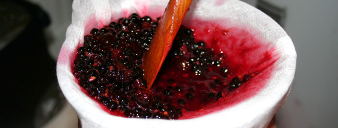 Elderberry sloe bullace and damson wine