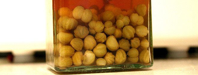 jar of pickled nasturtium seed pods