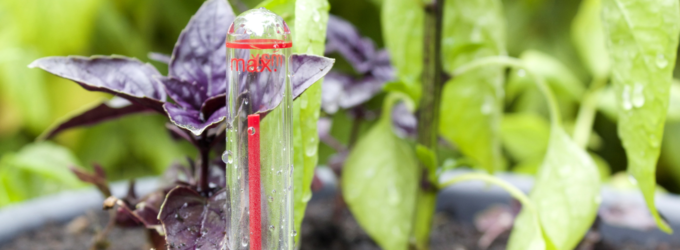 The self irrigating plant pot Two Thirsty Gardeners