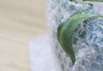 bubble wrap for plants