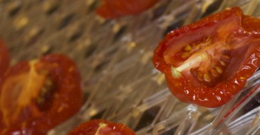Andrew James dehydrator tomatoes