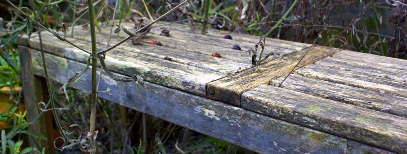 dirty garden bench