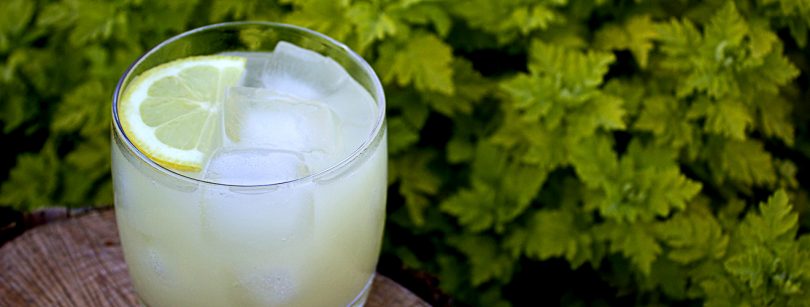 make the perfect greyhound cocktail