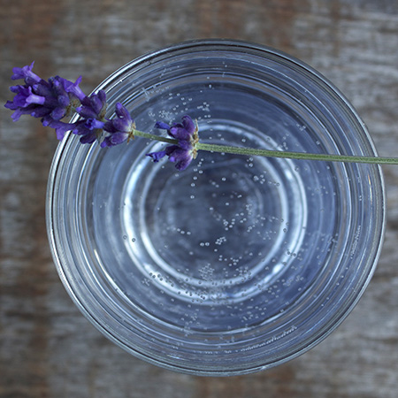 lavender blossom gin and tonic