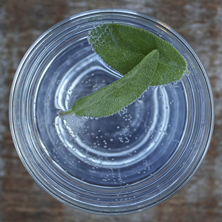 sage leaves gin and tonic
