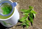 home grown lemon verbena herbal tea infusion