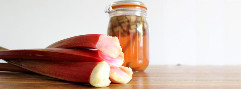 rhubarb and vodka infusion